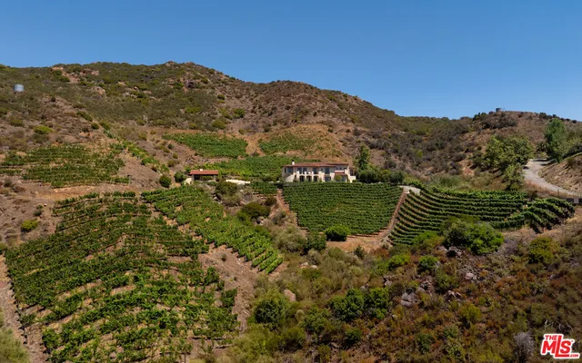 a view of a lush green field with mountains in the background