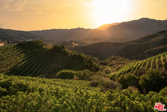 a view of a chair and tables in the patio