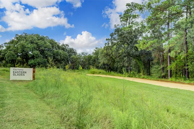a view of a green field with trees in the background