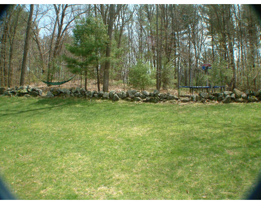 135 Raleigh Tavern Lane North Andover, MA 01845 - Photo 20 of 21 a view of a park with large trees