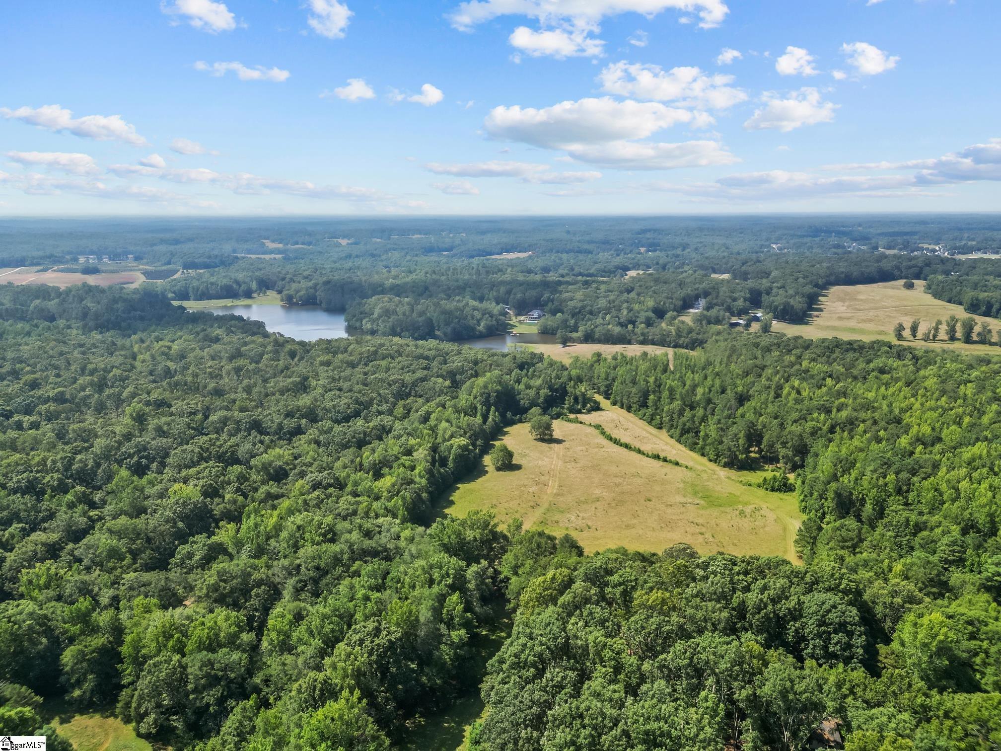 100 Gunter Road Piedmont, SC 29673 - Photo 4 of 10
