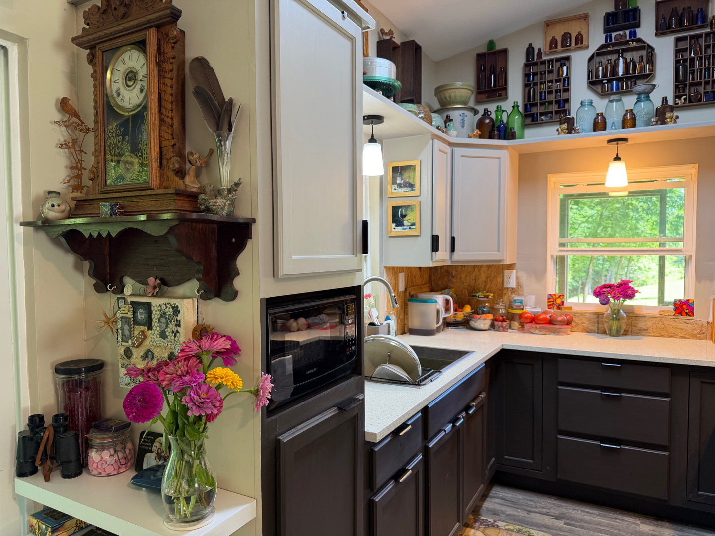1040 Baker Hill Road Cobden, IL 62920 - Photo 5 of 20