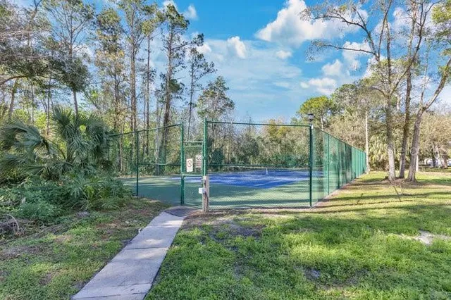 a aerial view of a house with a yard and large trees