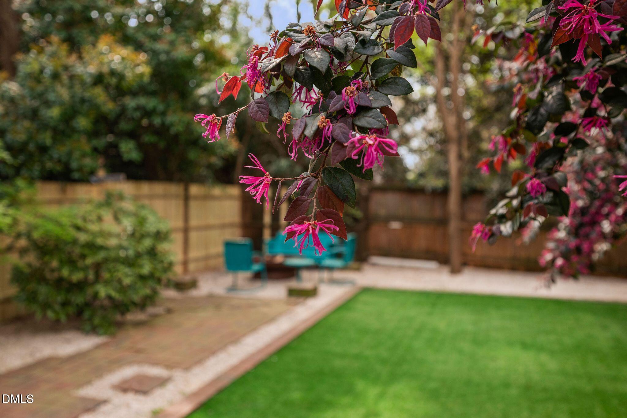 218 Pace Street Raleigh, NC 27604 - Photo 37 of 43