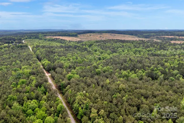 a view of a field with an ocean