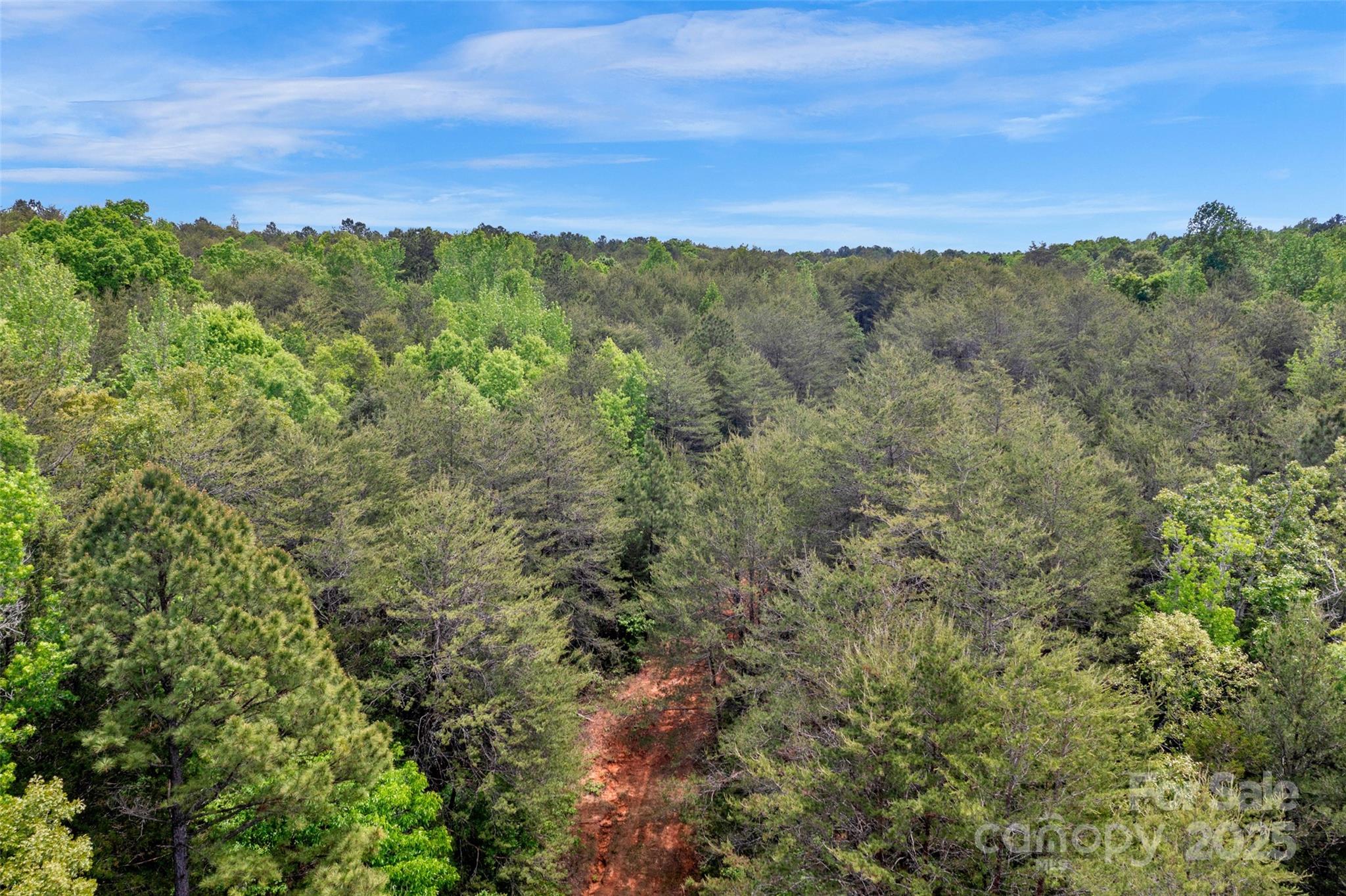 0 Green Road Lancaster, SC 29720 - Photo 12 of 44 a view of a city with lush green forest