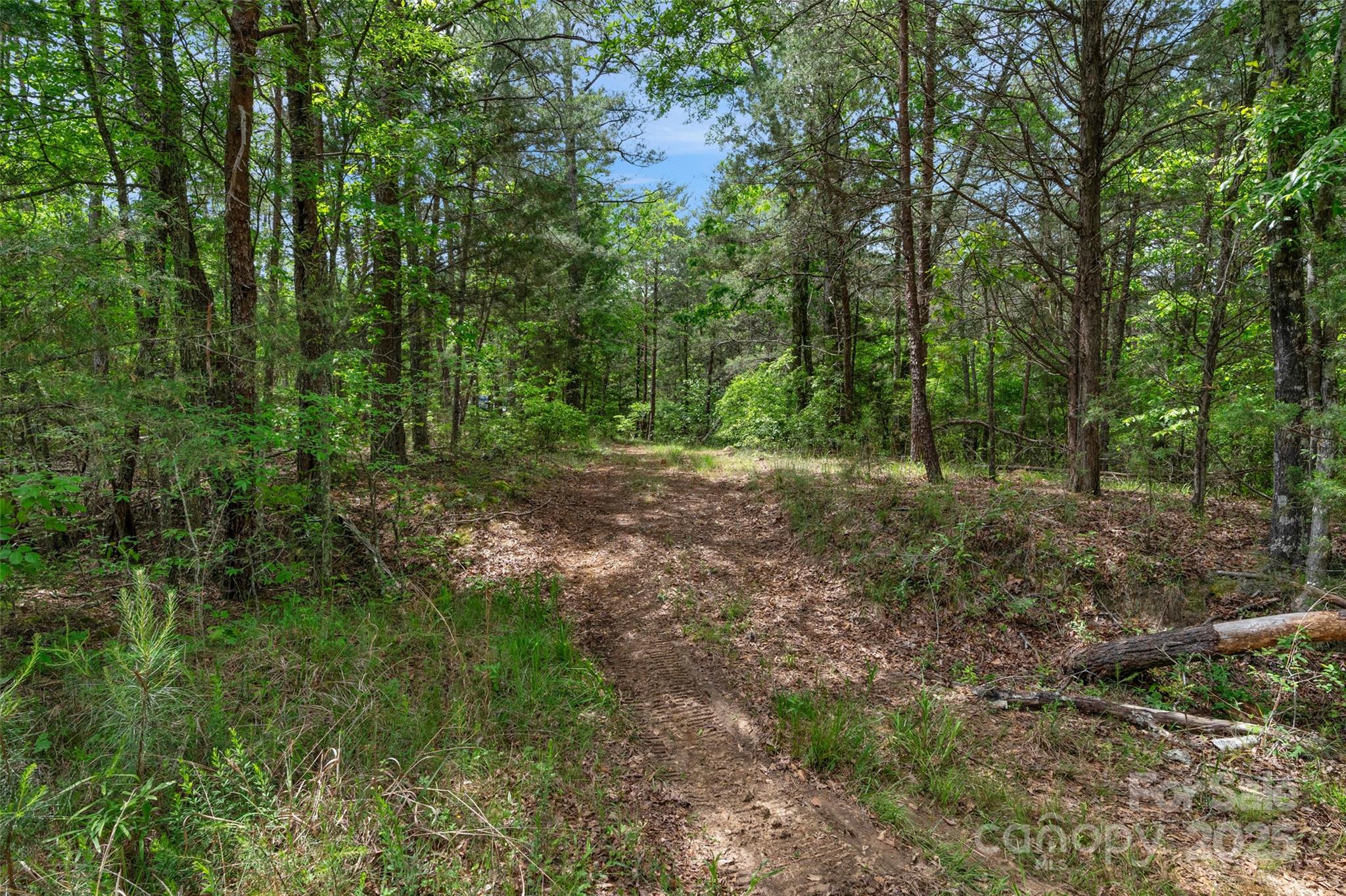 0 Green Road Lancaster, SC 29720 - Photo 14 of 44 a big yard with lots of green space and deers