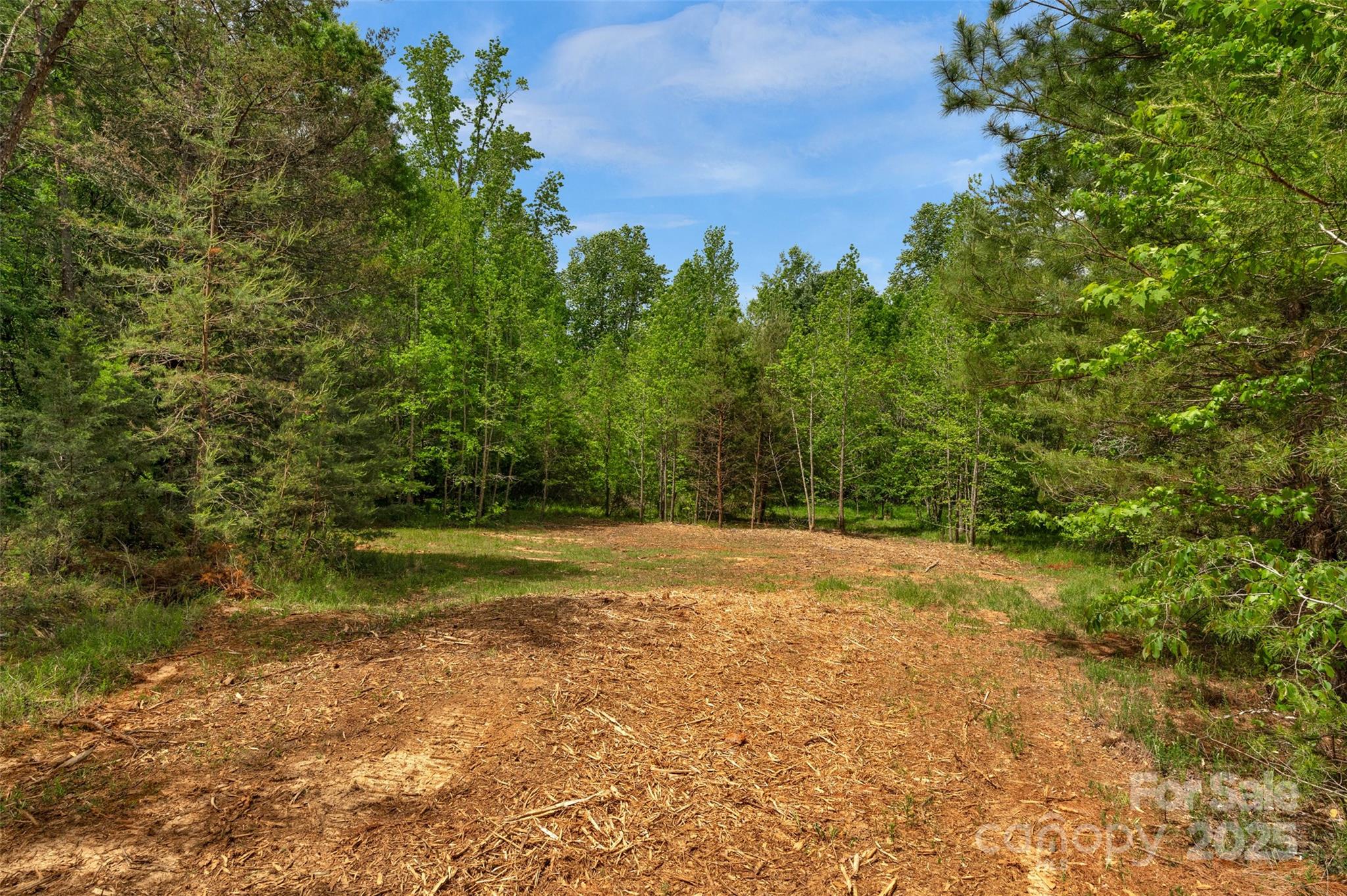 0 Green Road Lancaster, SC 29720 - Photo 17 of 44 a view of a yard with a tree