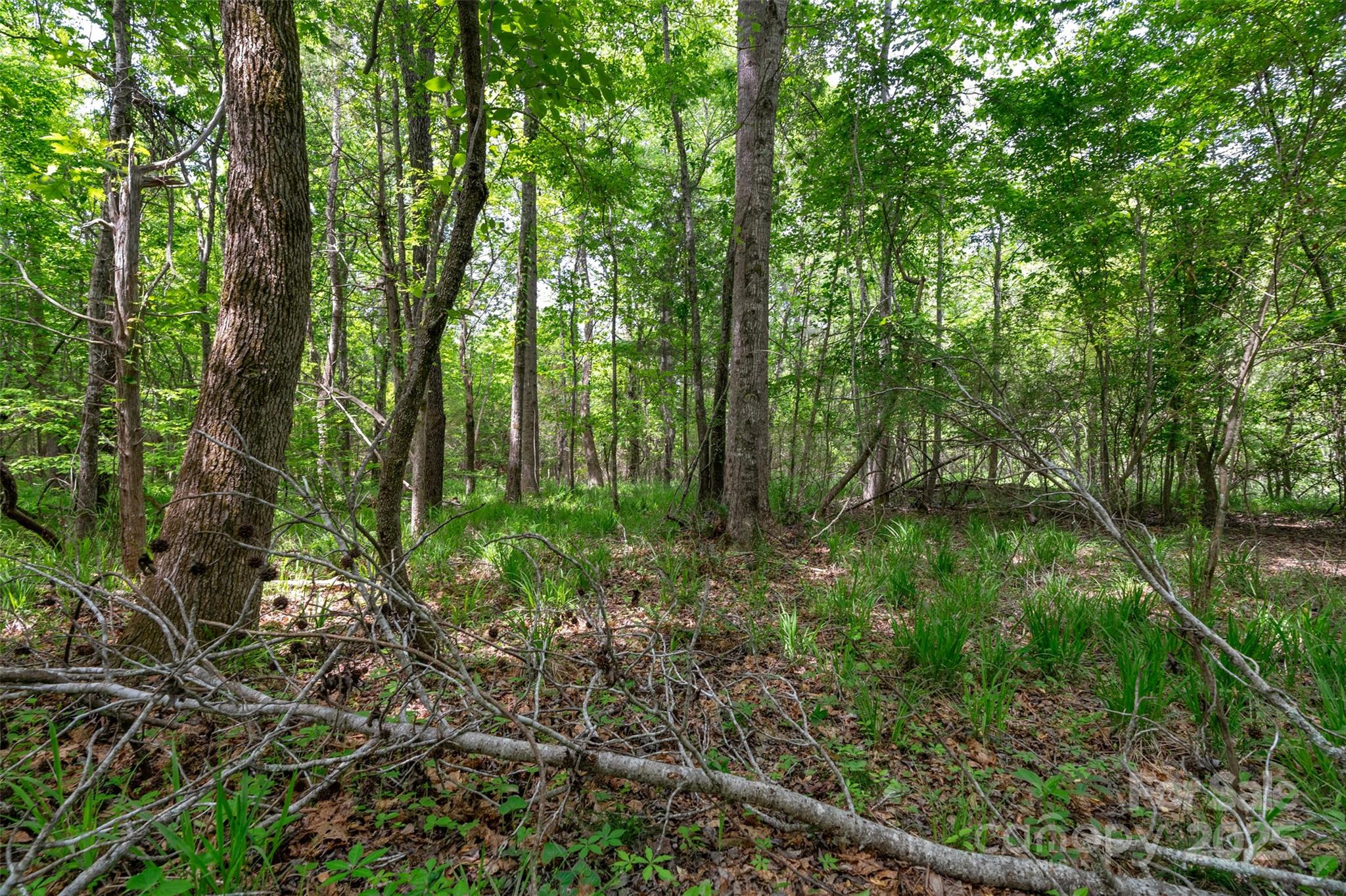 0 Green Road Lancaster, SC 29720 - Photo 20 of 44 a view of outdoor space and green space