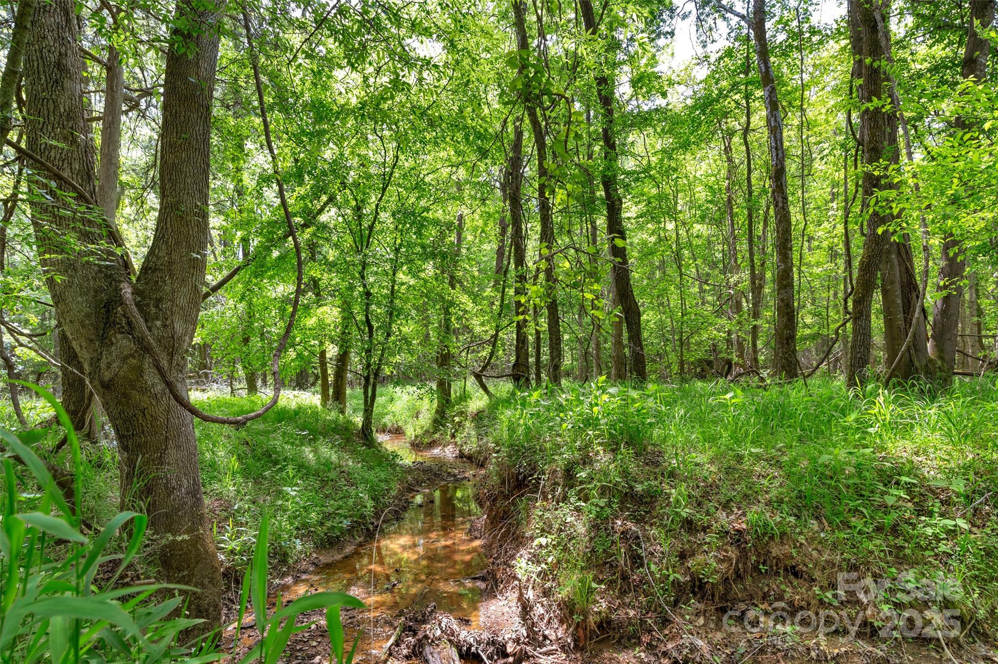 0 Green Road Lancaster, SC 29720 - Photo 2 of 44 a view of lush green forest