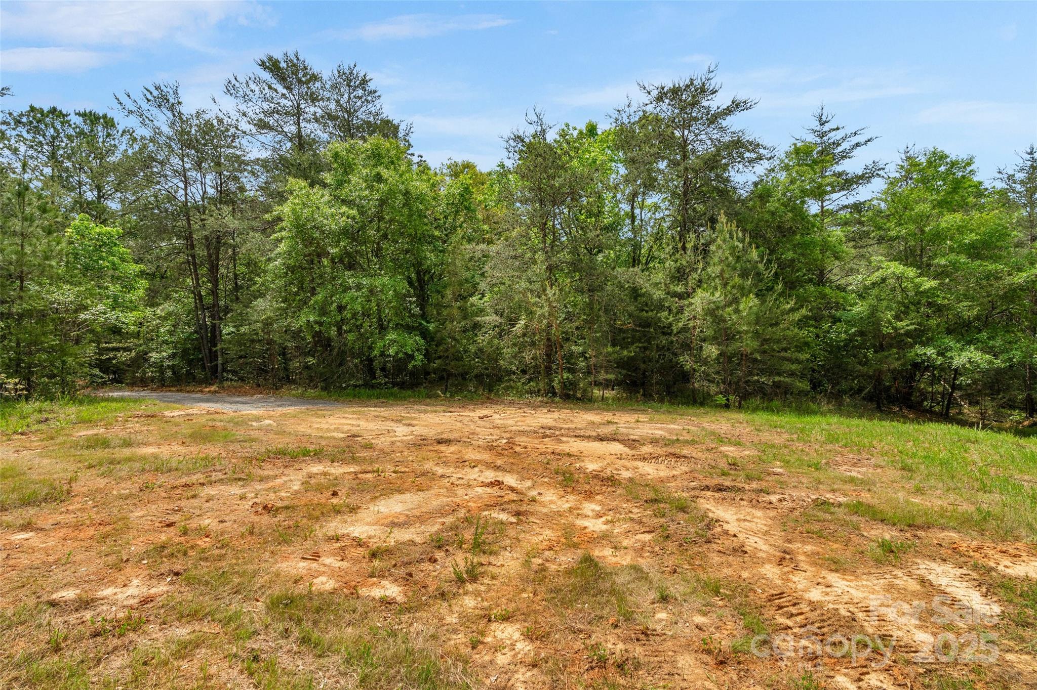 0 Green Road Lancaster, SC 29720 - Photo 25 of 44 a view of a yard with a trees