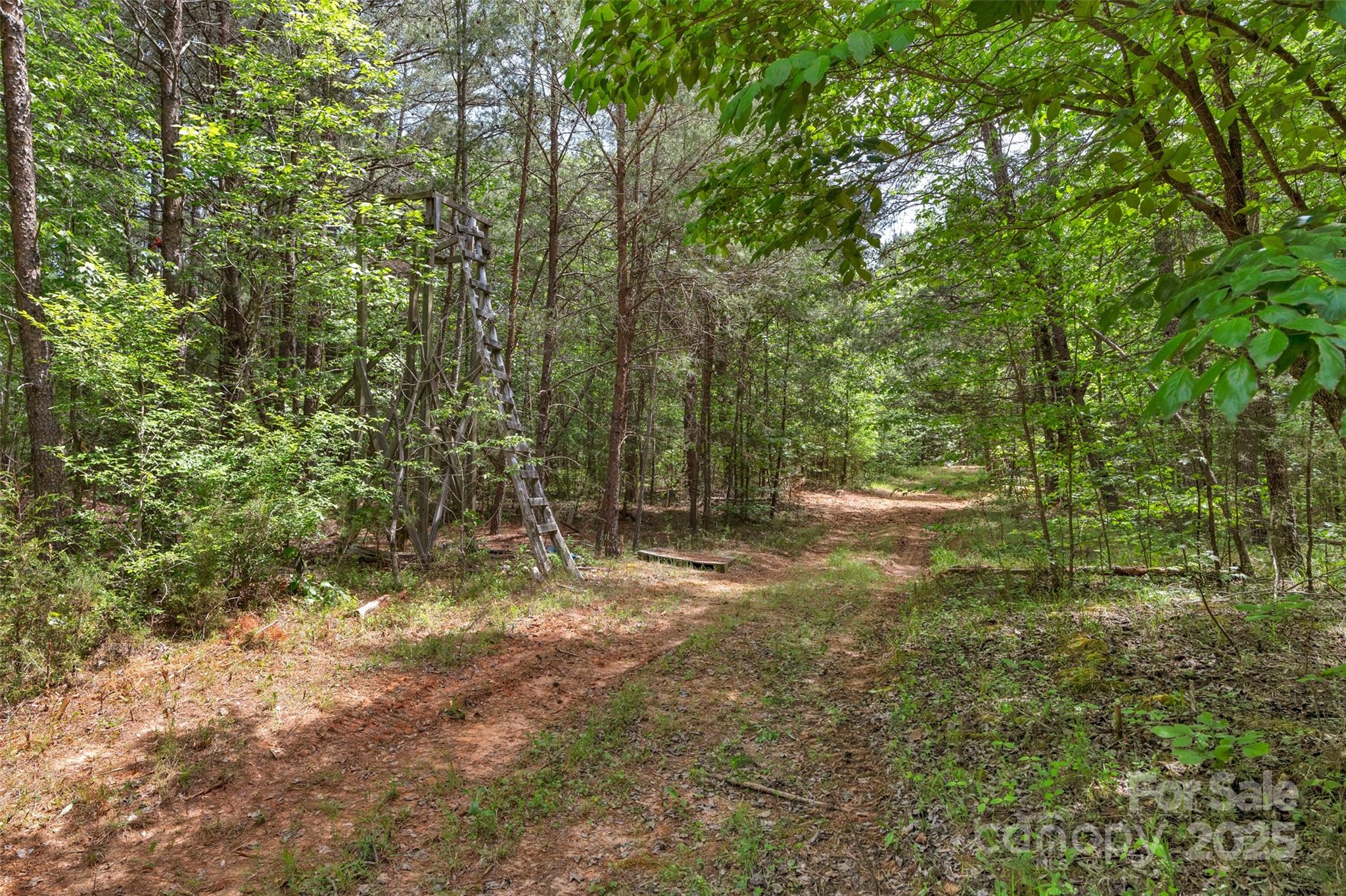0 Green Road Lancaster, SC 29720 - Photo 26 of 44 a view of a forest with trees in the background