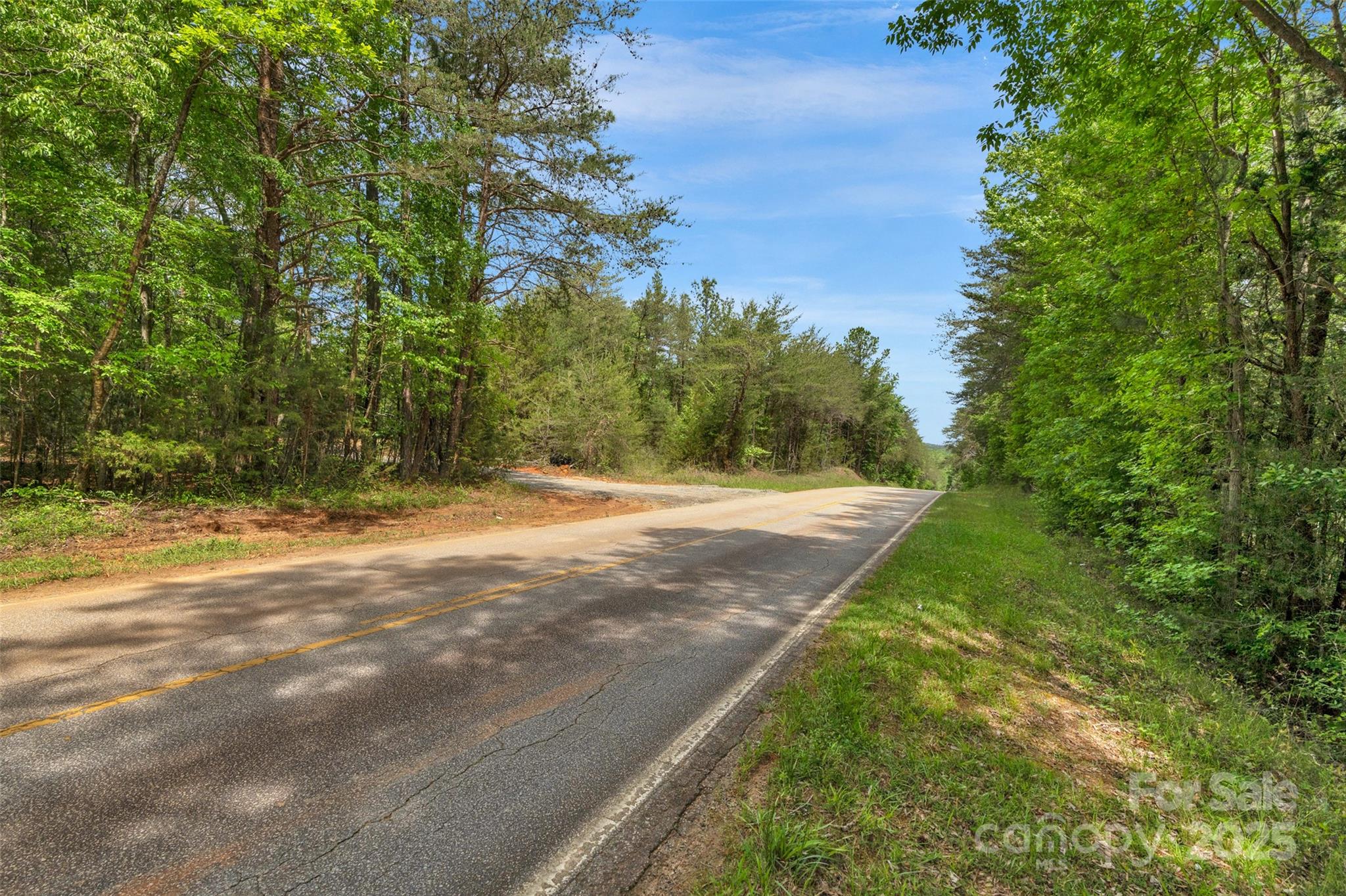 0 Green Road Lancaster, SC 29720 - Photo 27 of 44 a view of a yard with large trees