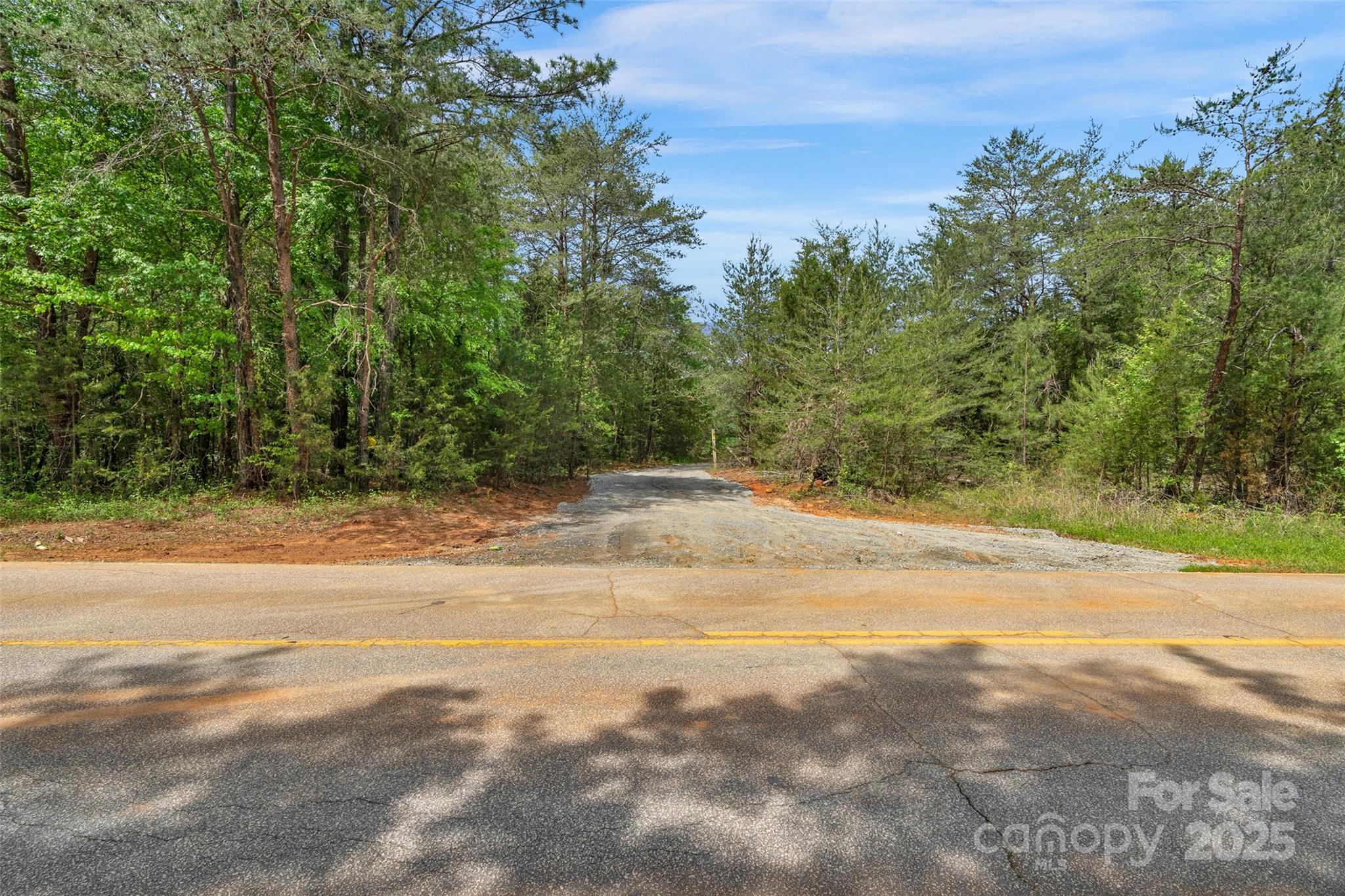 0 Green Road Lancaster, SC 29720 - Photo 28 of 44 a view of a yard with a tree