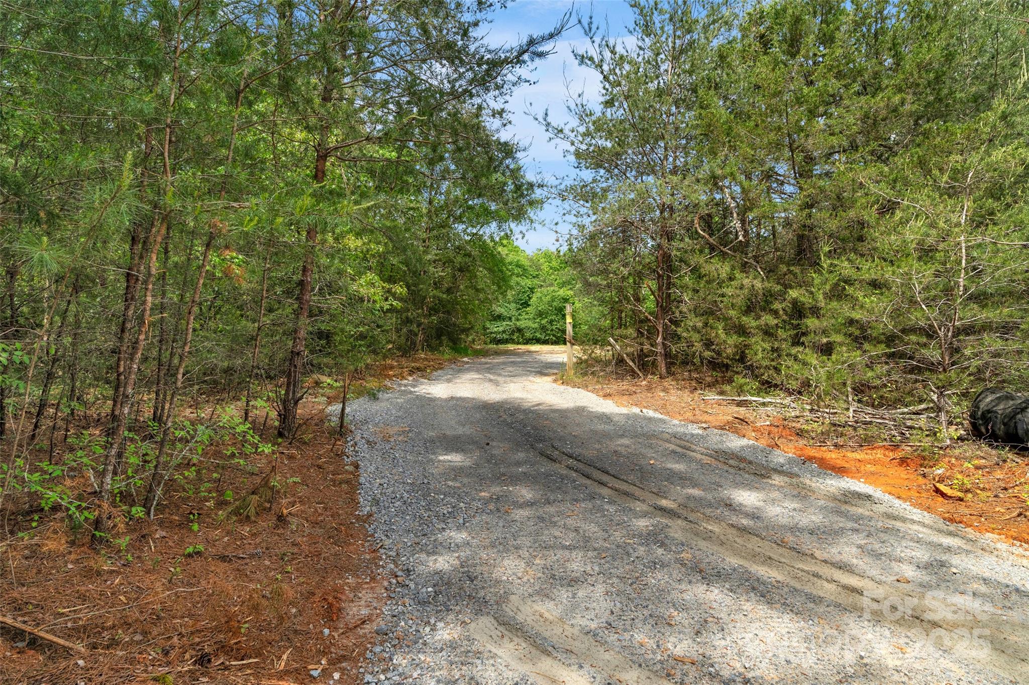 0 Green Road Lancaster, SC 29720 - Photo 29 of 44 a view of a yard with large trees