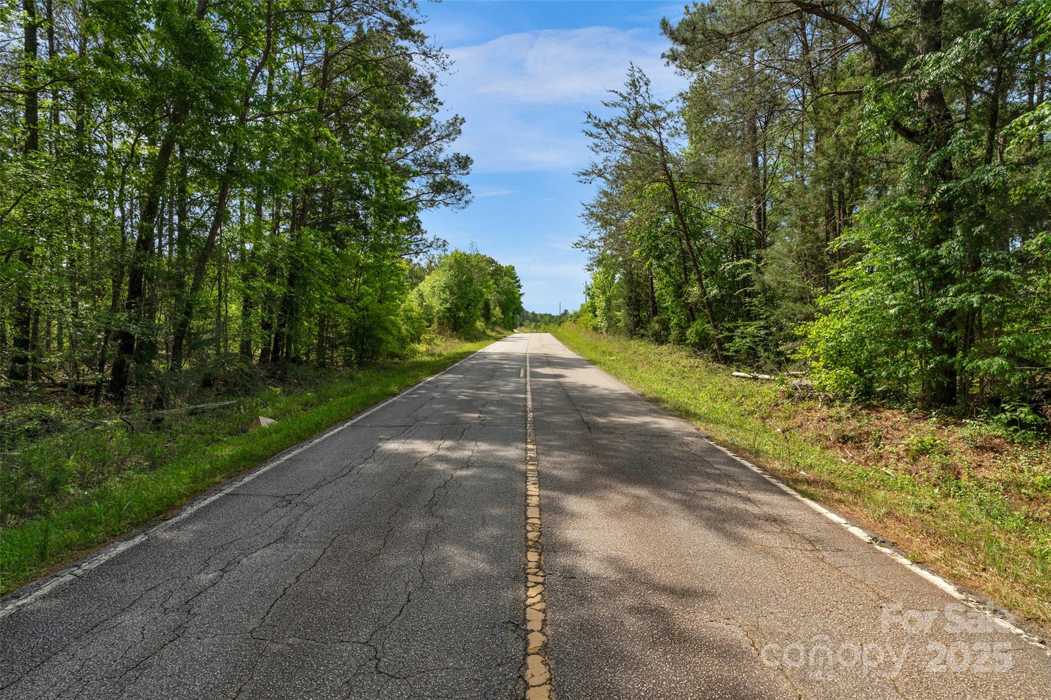 0 Green Road Lancaster, SC 29720 - Photo 33 of 44 a view of a street view