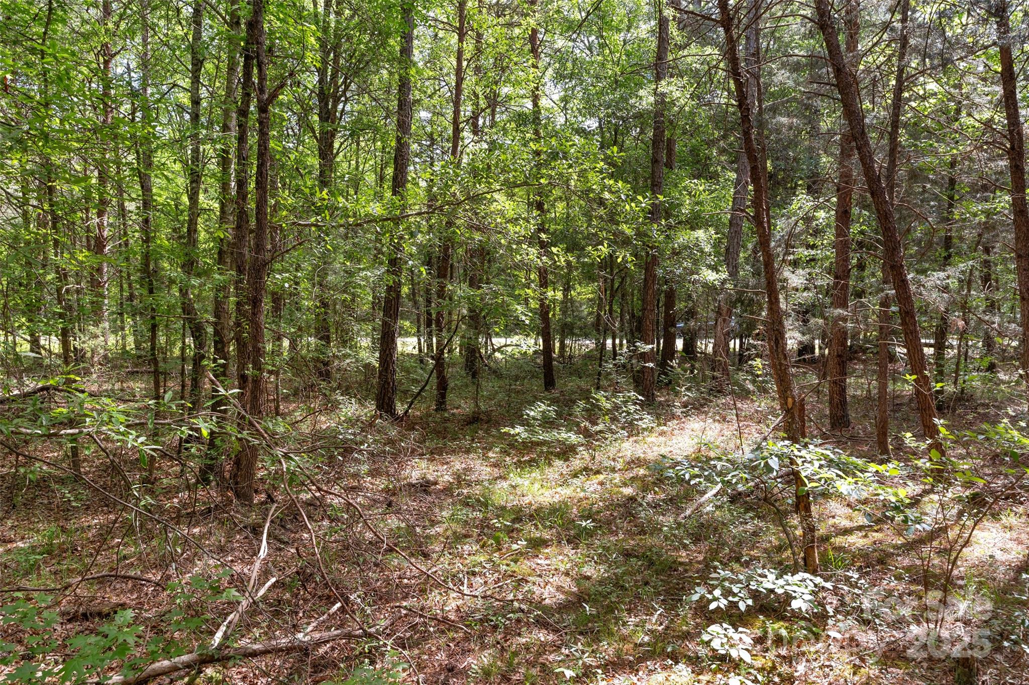 0 Green Road Lancaster, SC 29720 - Photo 36 of 44 a view of a forest
