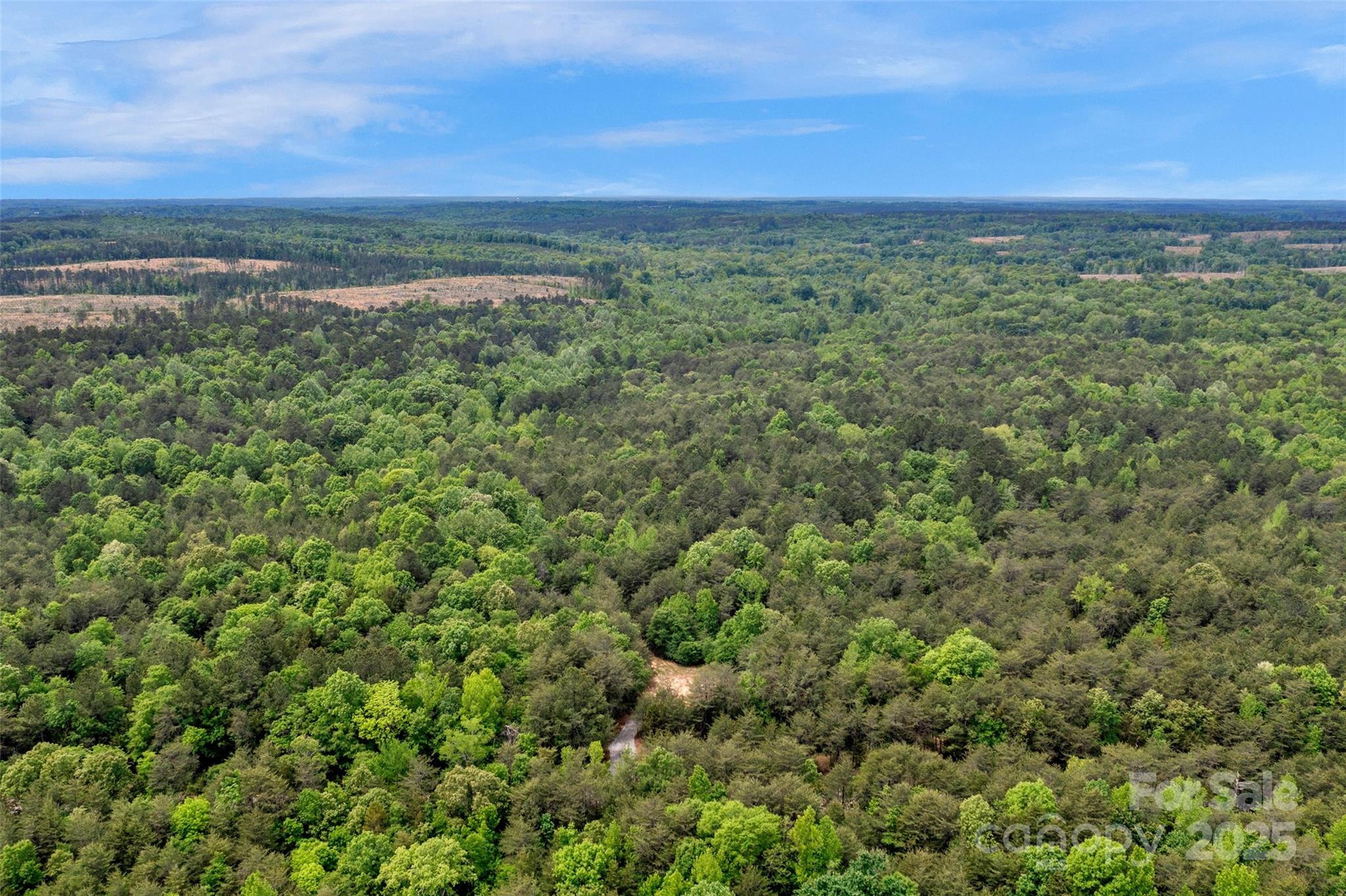 0 Green Road Lancaster, SC 29720 - Photo 39 of 44 a view of a city with lush green forest