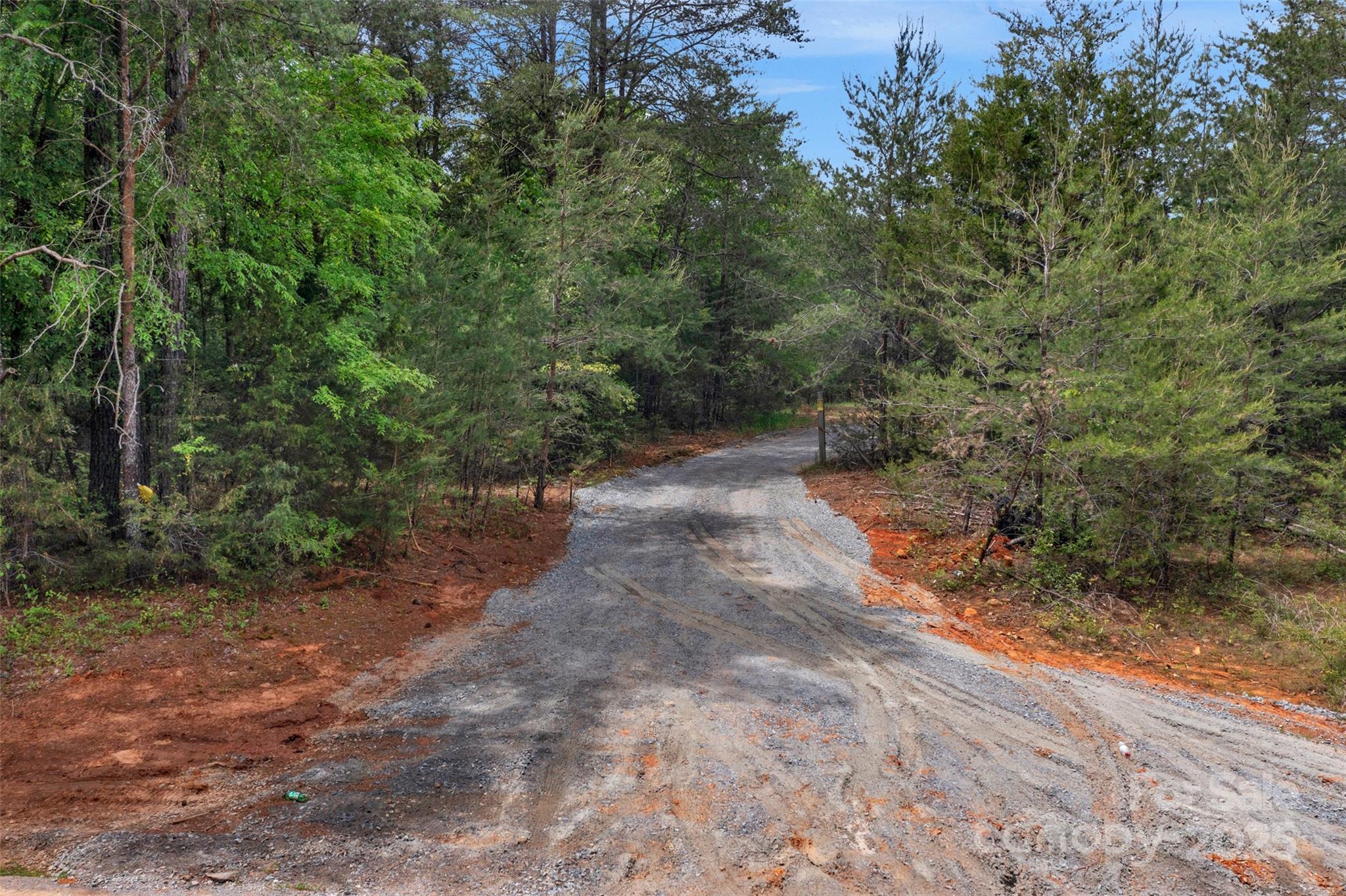 0 Green Road Lancaster, SC 29720 - Photo 10 of 44 a view of a dirt pathway both side of house
