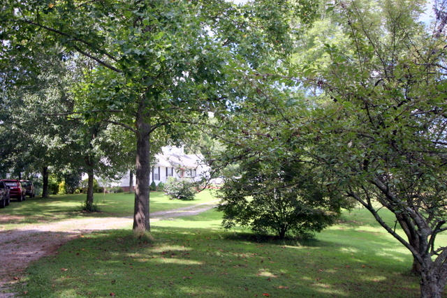 3540 Prospect Church Road Loudon, TN 37774 - Photo 5 of 38 06-IMG_3115