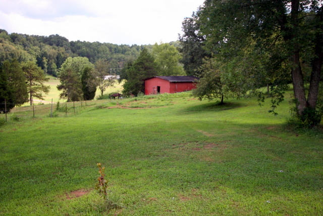 3540 Prospect Church Road Loudon, TN 37774 - Photo 10 of 38 03-IMG_3106