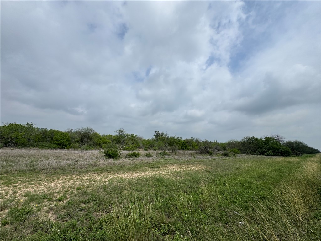 Tbd Highway 359 Alice, TX 78332 - Photo 2 of 6