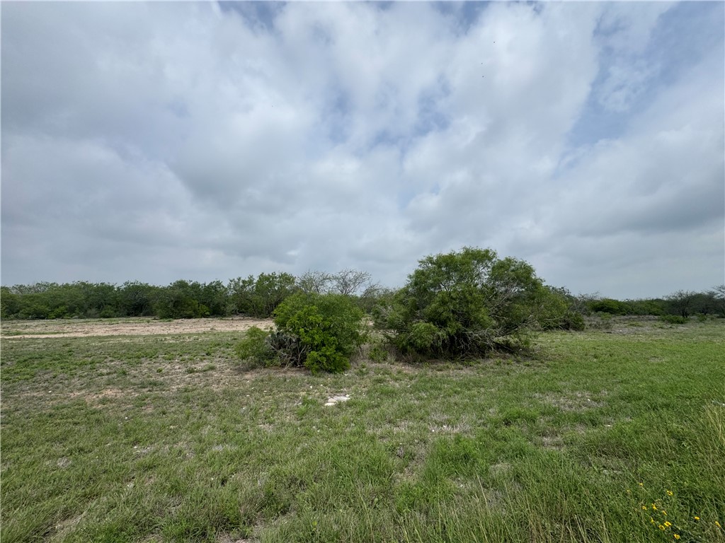 Tbd Highway 359 Alice, TX 78332 - Photo 3 of 6
