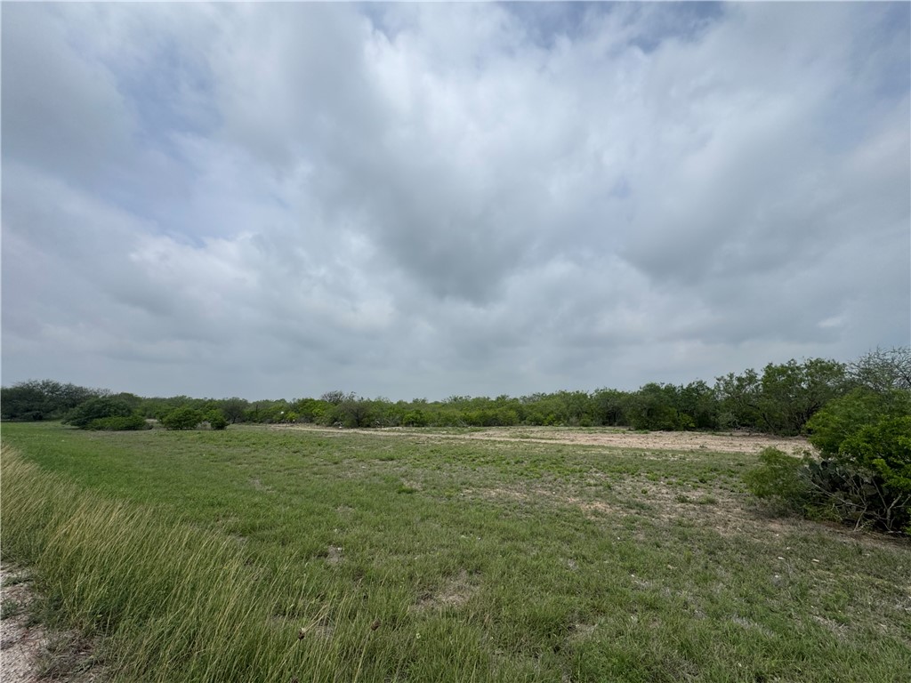 Tbd Highway 359 Alice, TX 78332 - Photo 4 of 6