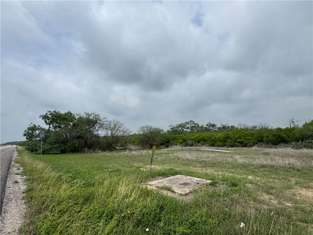Tbd Highway 359 Alice, TX 78332 - Photo 5 of 6