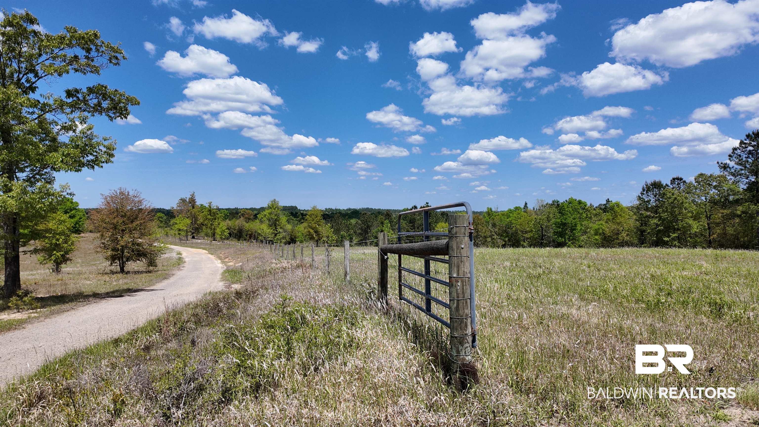 0 Powell Road Eight Mile, AL 36613 - Photo 13 of 57
