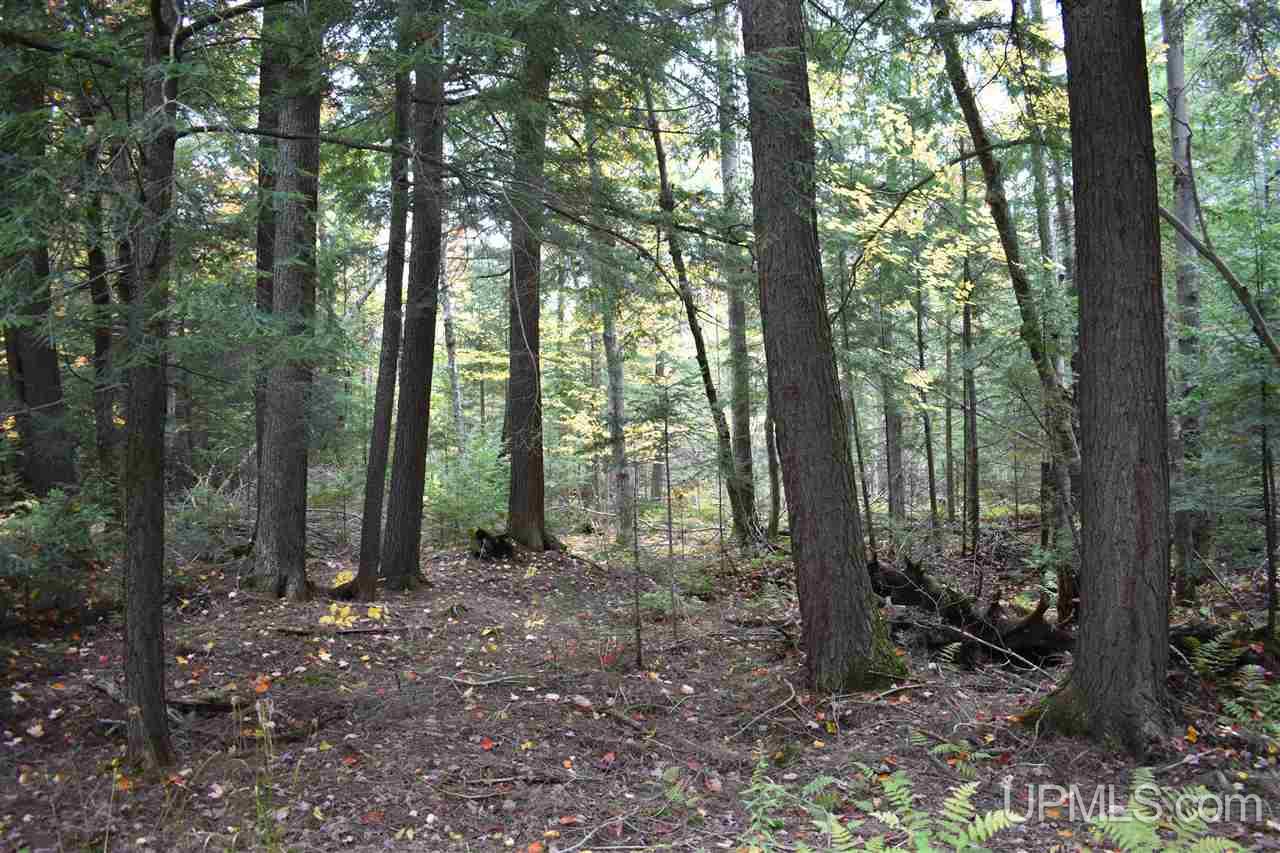 9-acres Deerton Road Deerton, MI 49822 - Photo 25 of 37 Gallery Image 25