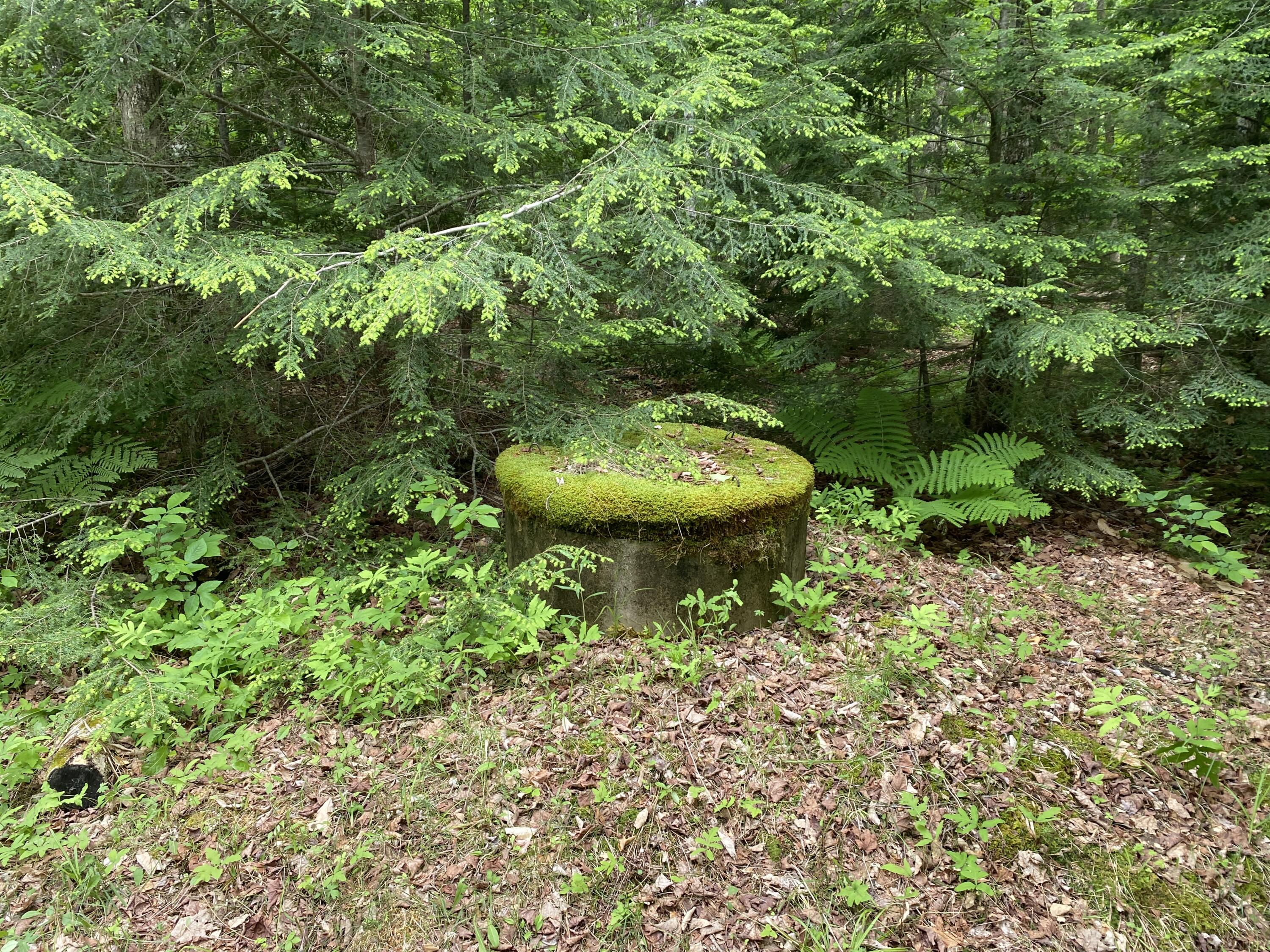 783 Half Township Road Lincoln, ME 04457 - Photo 19 of 24 IMG_19