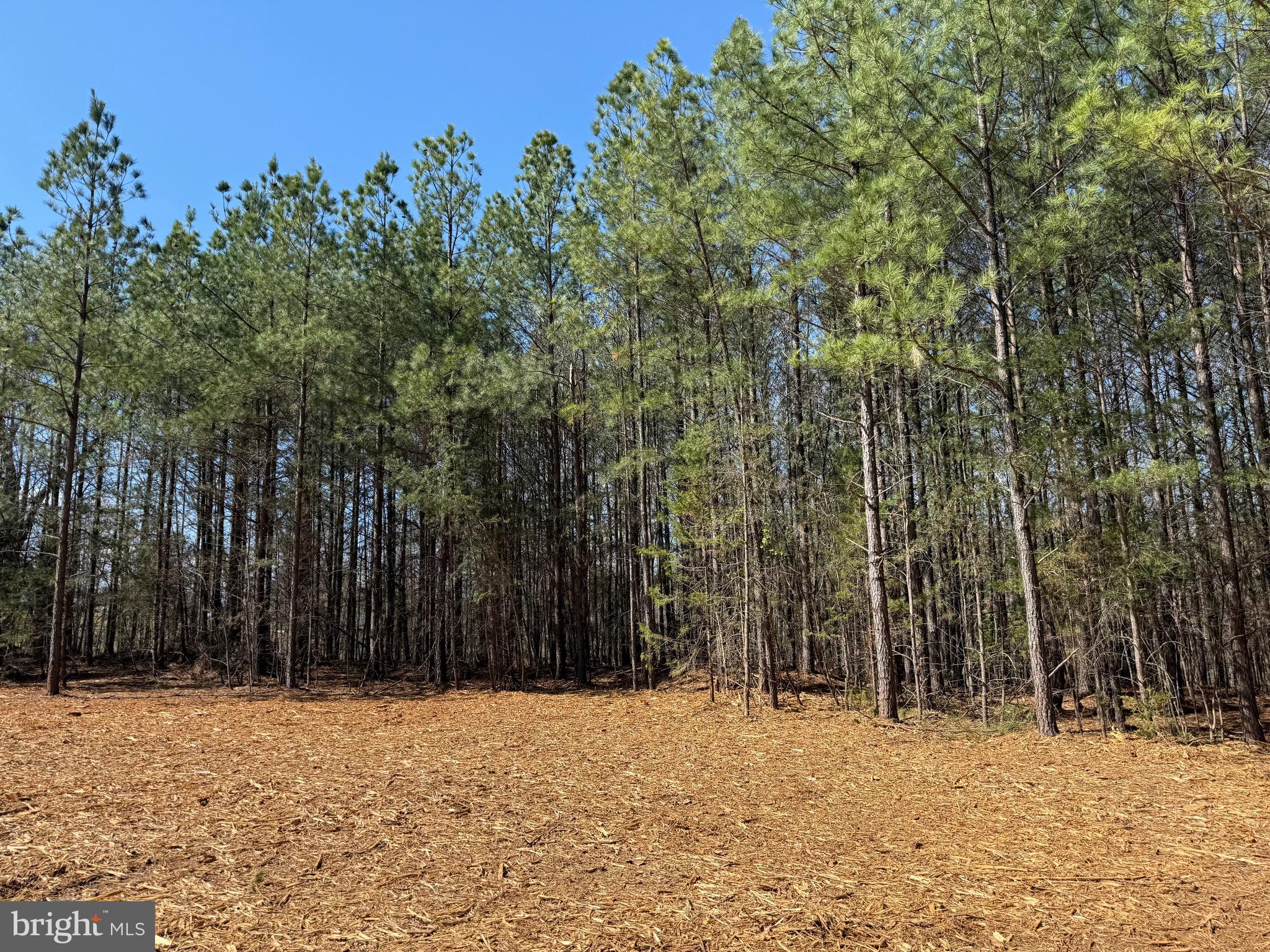Lot B Mountain Cut Road Appomattox, VA 24522 - Photo 11 of 27