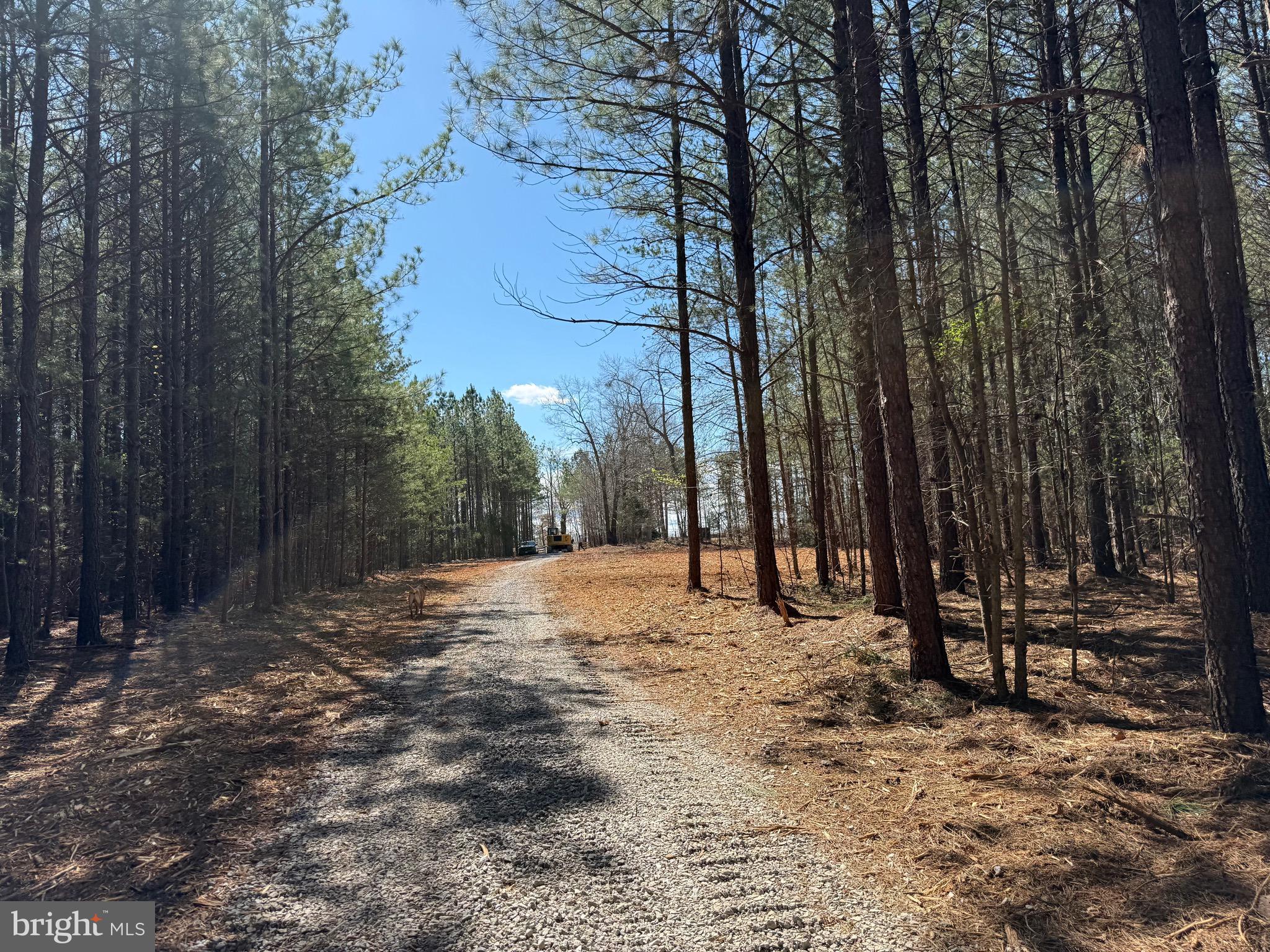 Lot B Mountain Cut Road Appomattox, VA 24522 - Photo 13 of 27