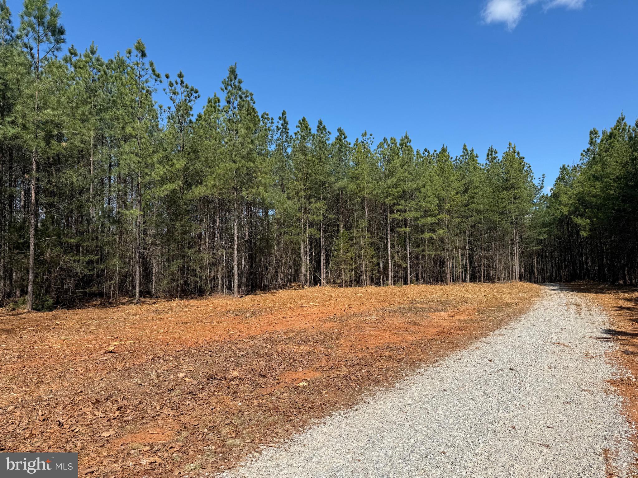 Lot B Mountain Cut Road Appomattox, VA 24522 - Photo 14 of 27