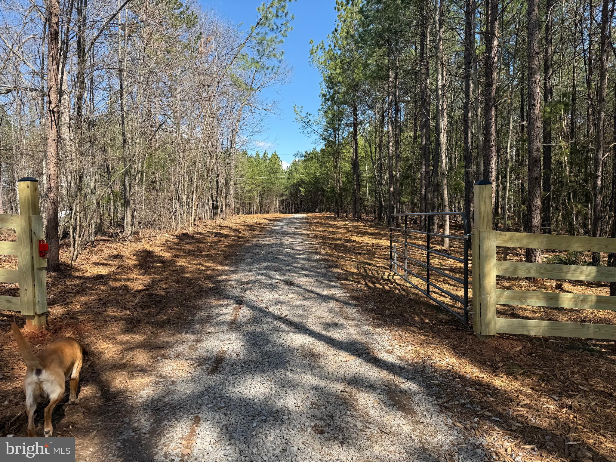 Lot B Mountain Cut Road Appomattox, VA 24522 - Photo 16 of 27