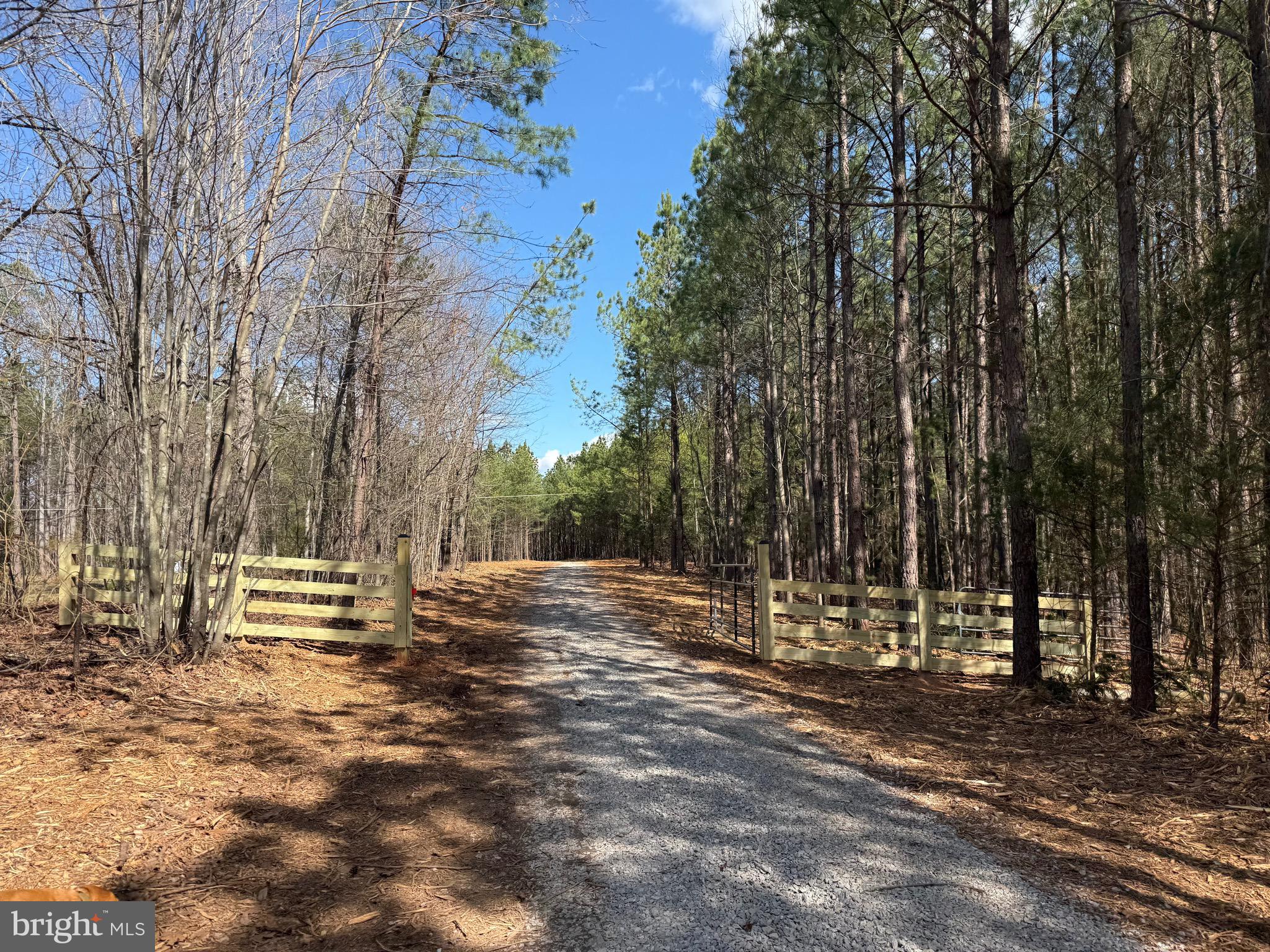 Lot B Mountain Cut Road Appomattox, VA 24522 - Photo 17 of 27