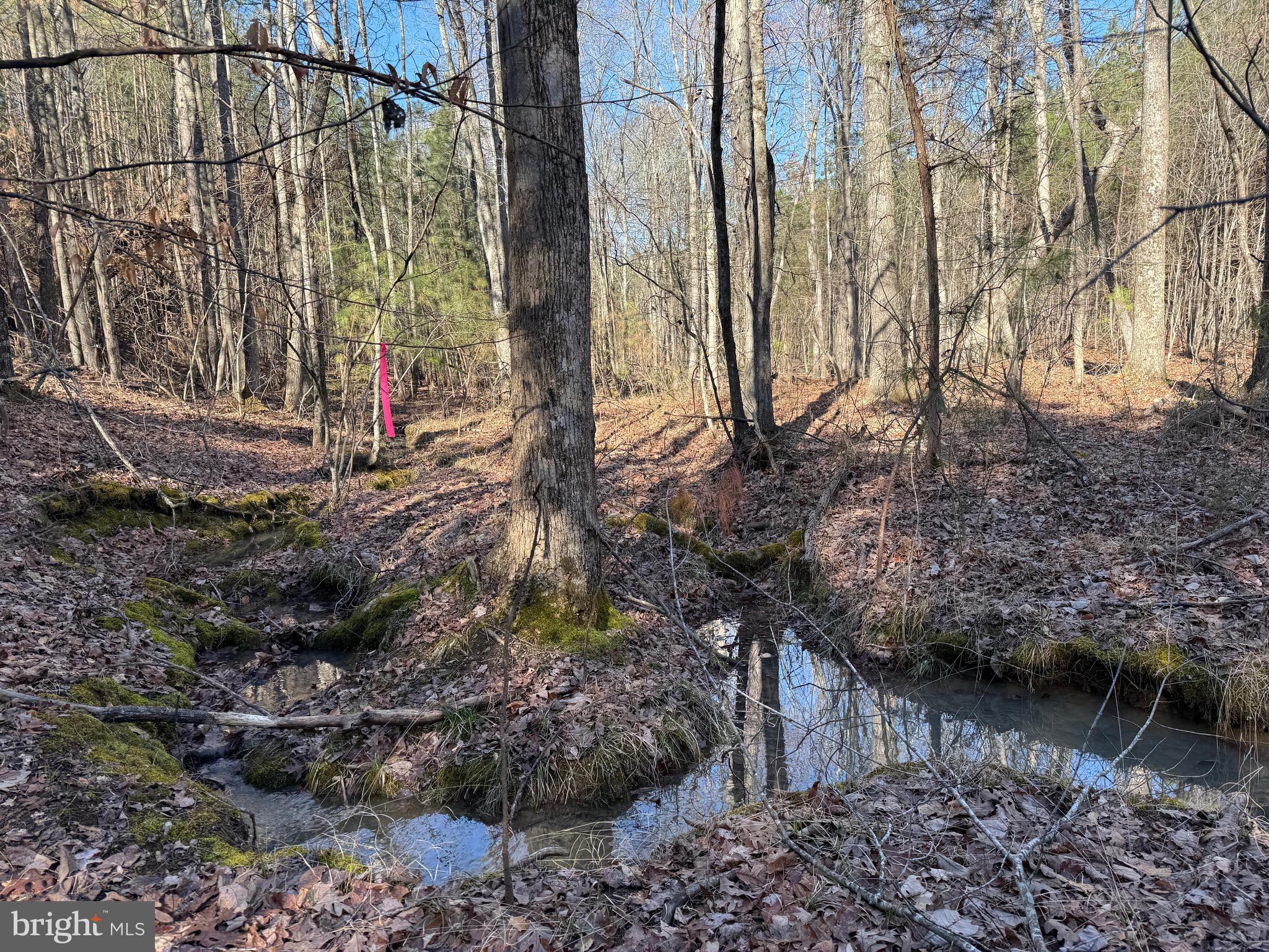 Lot B Mountain Cut Road Appomattox, VA 24522 - Photo 19 of 27