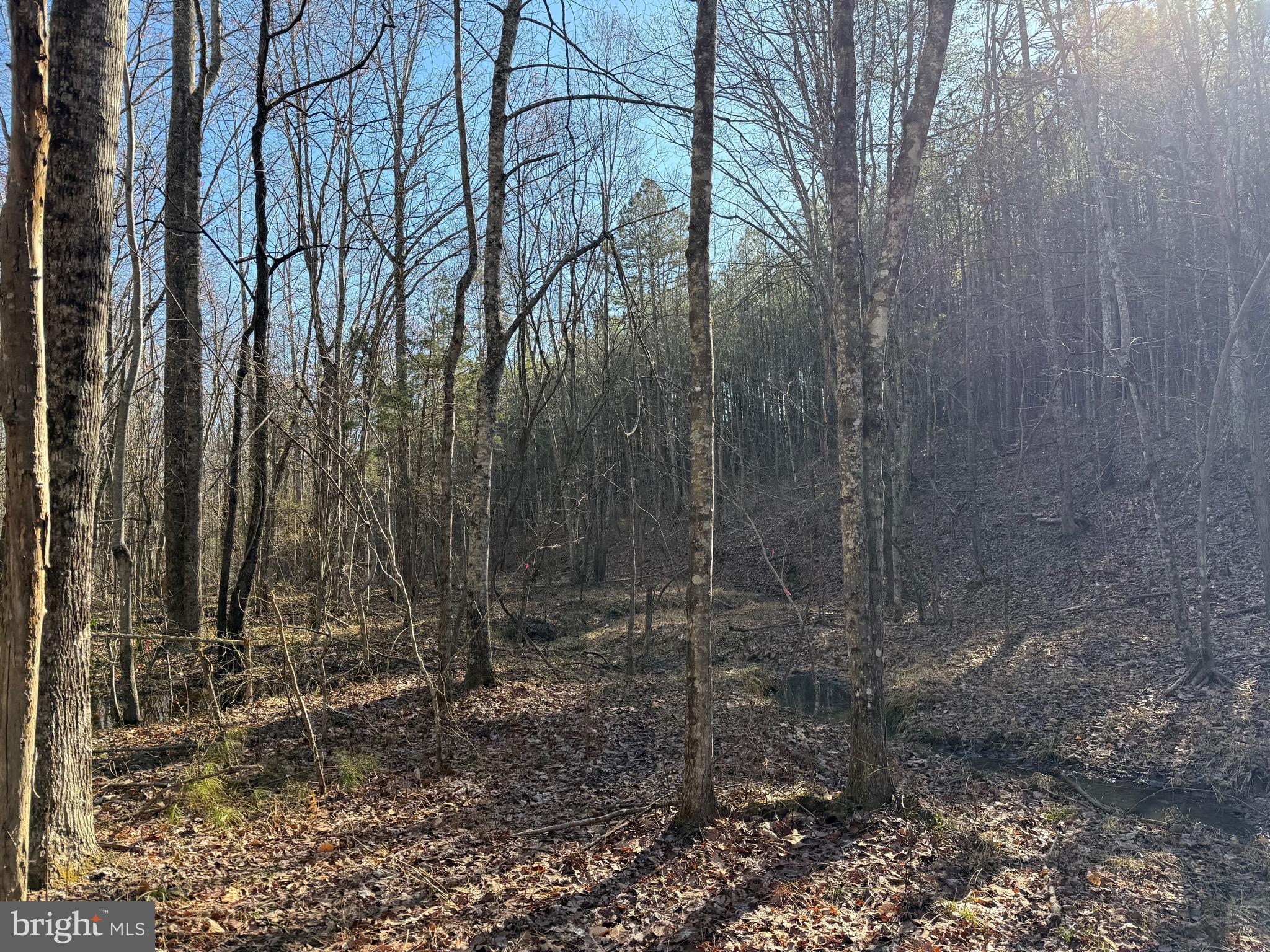 Lot B Mountain Cut Road Appomattox, VA 24522 - Photo 22 of 27