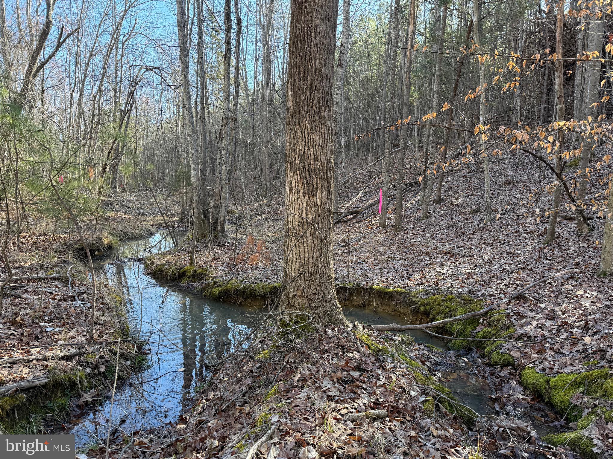 Lot B Mountain Cut Road Appomattox, VA 24522 - Photo 23 of 27