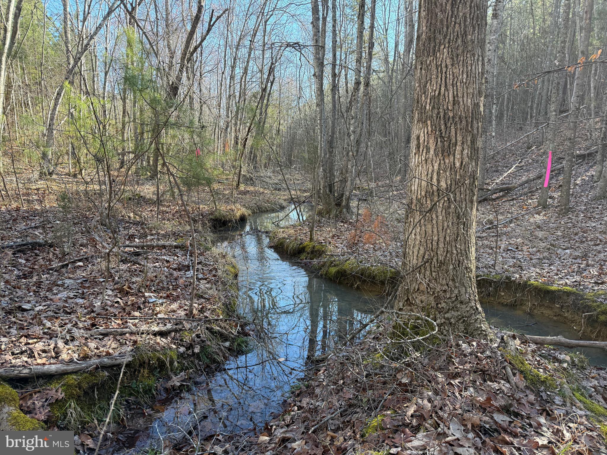 Lot B Mountain Cut Road Appomattox, VA 24522 - Photo 24 of 27