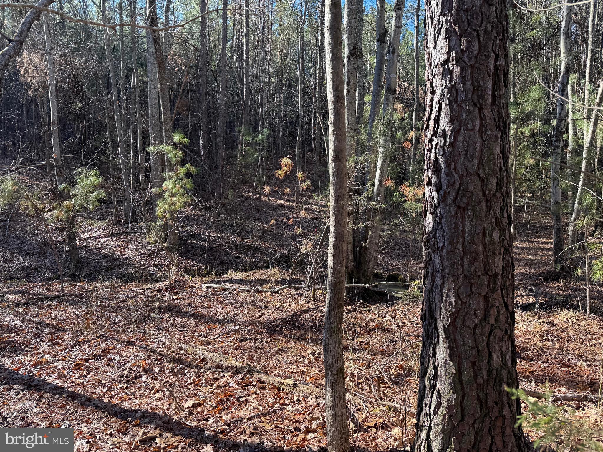 Lot B Mountain Cut Road Appomattox, VA 24522 - Photo 25 of 27