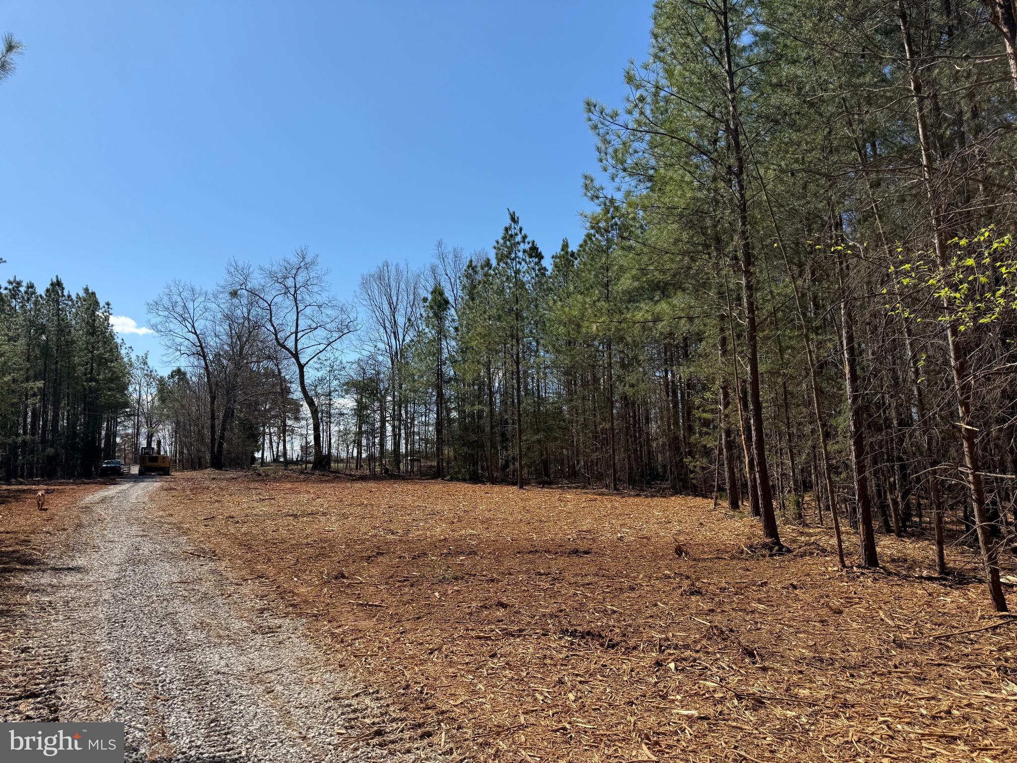 Lot B Mountain Cut Road Appomattox, VA 24522 - Photo 5 of 27