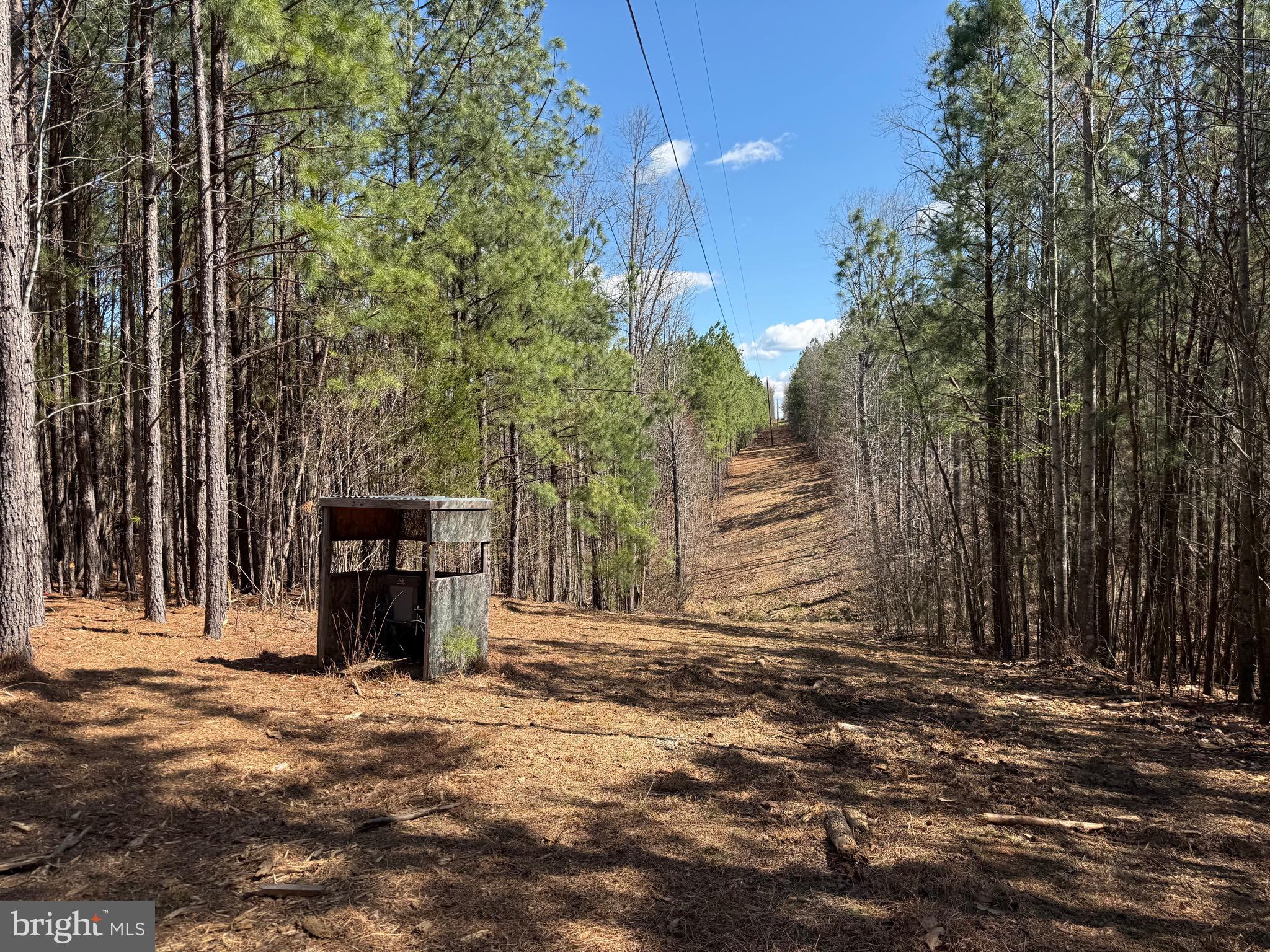 Lot B Mountain Cut Road Appomattox, VA 24522 - Photo 6 of 27