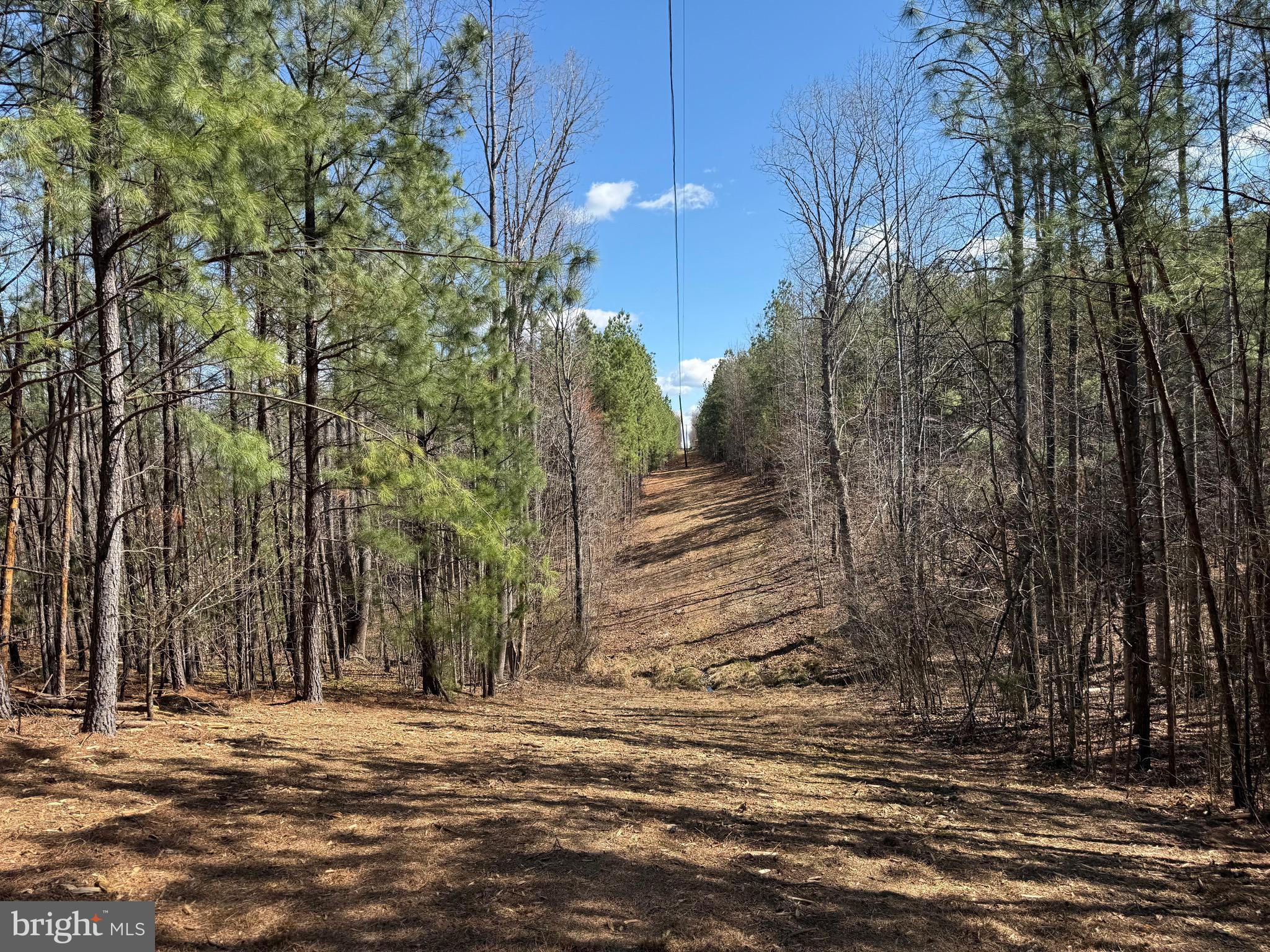 Lot B Mountain Cut Road Appomattox, VA 24522 - Photo 10 of 27