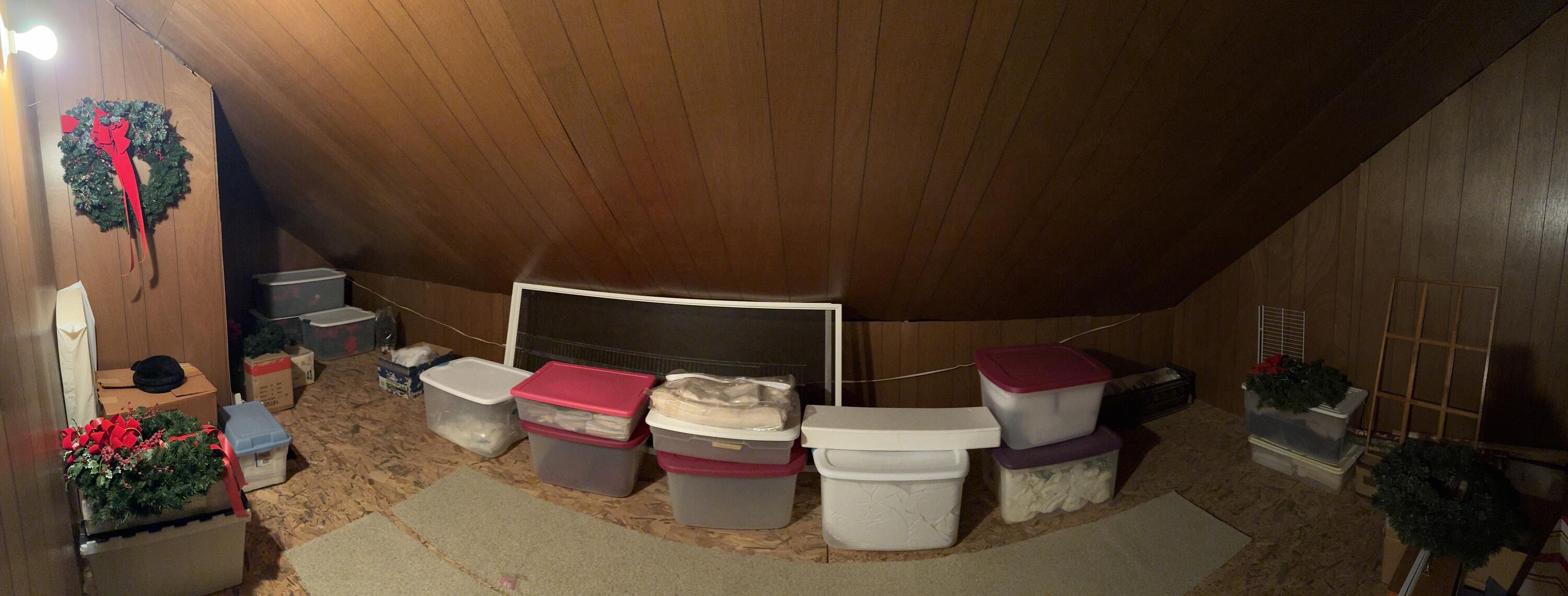 351 Duncan Chapel Road Harleyville, SC 29448 - Photo 50 of 90 IMG_9848 2