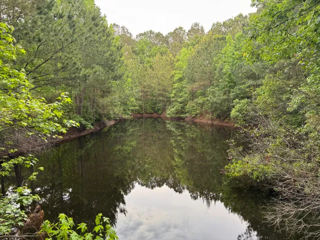 $950,000 | 351 Duncan Chapel Road, Harleyville, SC 29448