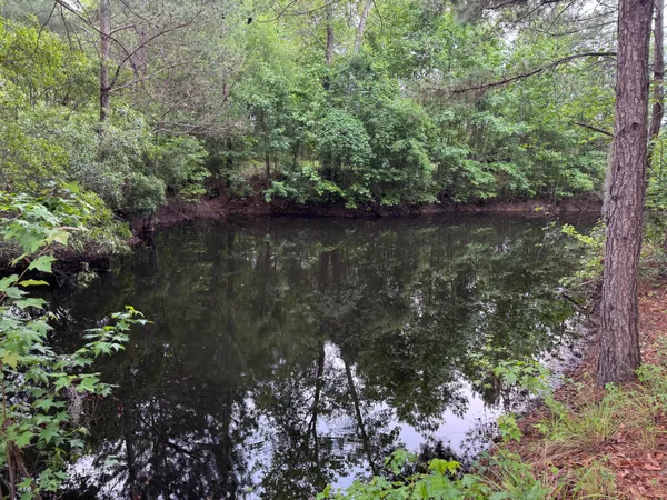 $825,000 | 351 Duncan Chapel Road, Harleyville, SC 29448