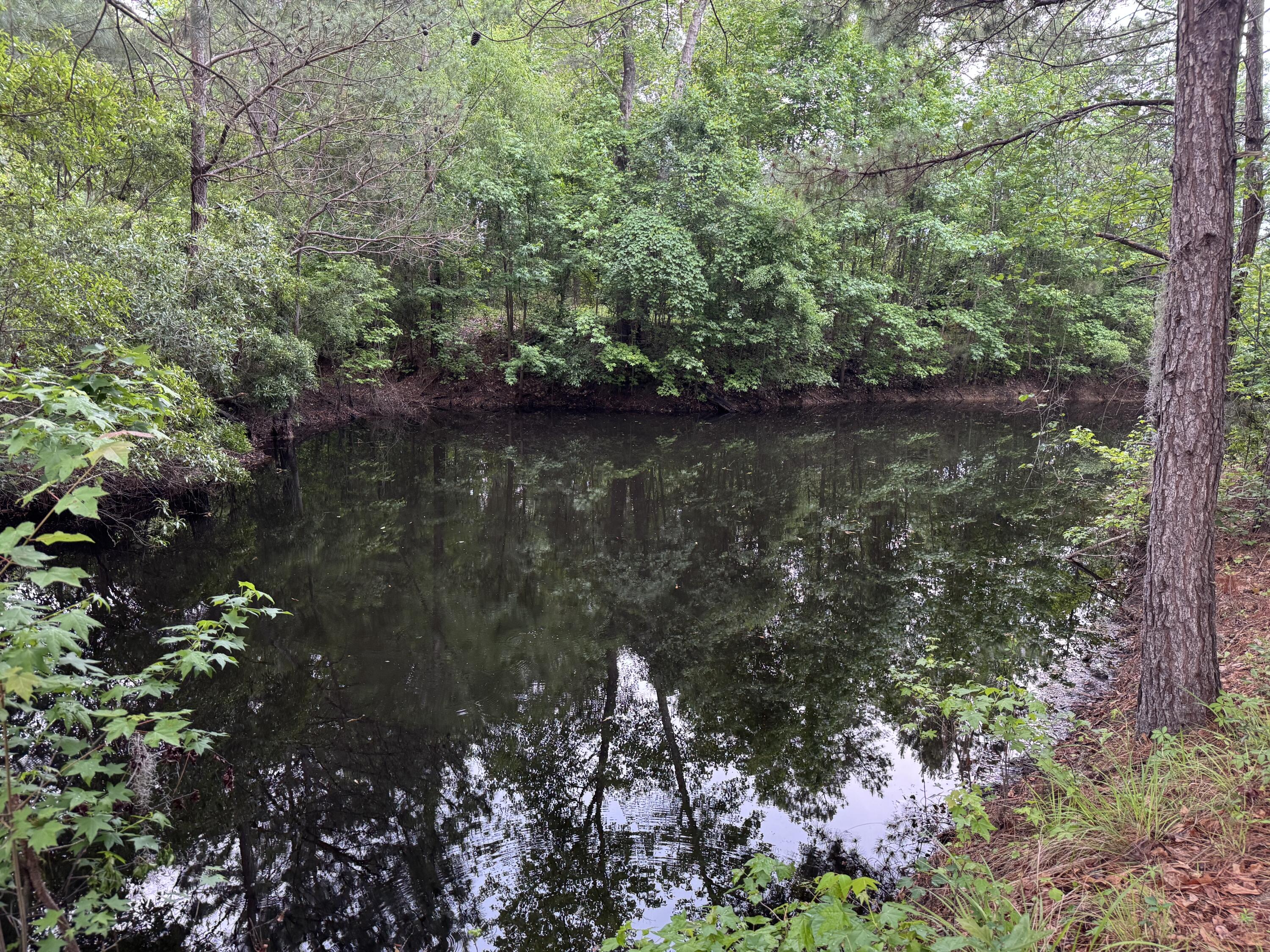 351 Duncan Chapel Road Harleyville, SC 29448 - Photo 77 of 90 IMG_9870