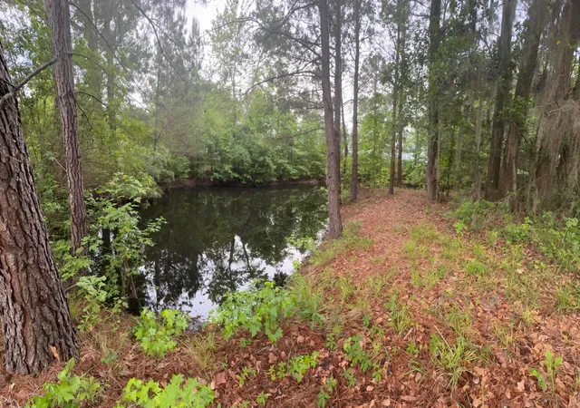 $950,000 | 351 Duncan Chapel Road, Harleyville, SC 29448